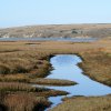Point Reyes 05